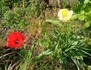 DSC_0121.jpg